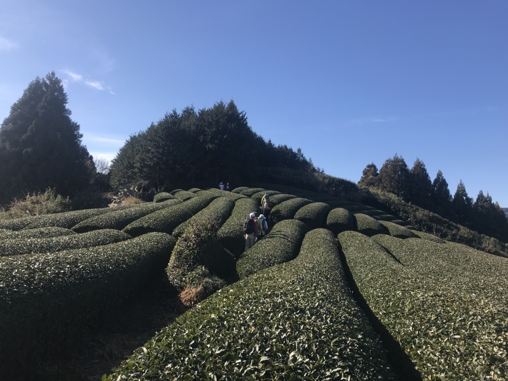 f:id:masahito0989:20180107112518j:plain