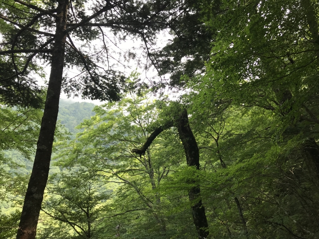 f:id:masahito0989:20180811084036j:plain