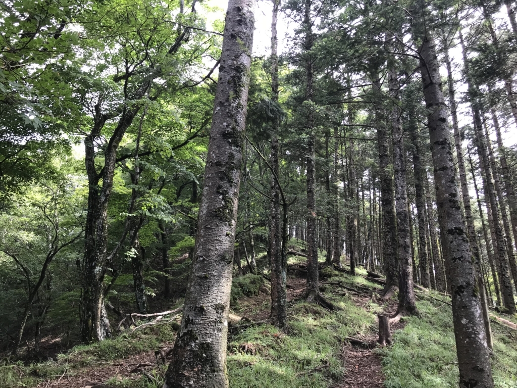 f:id:masahito0989:20180811085911j:plain