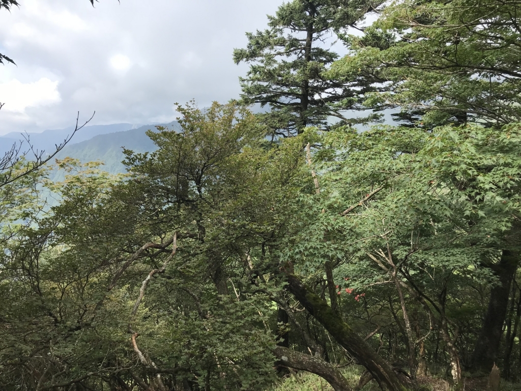 f:id:masahito0989:20180811091811j:plain