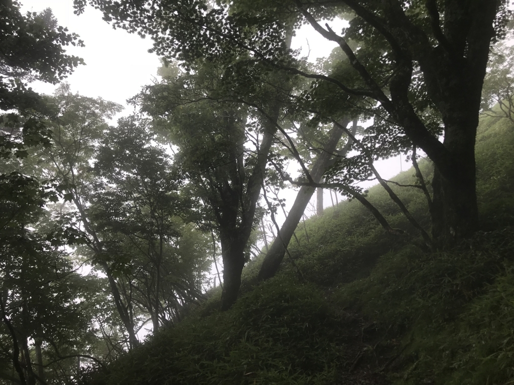 f:id:masahito0989:20180811100620j:plain