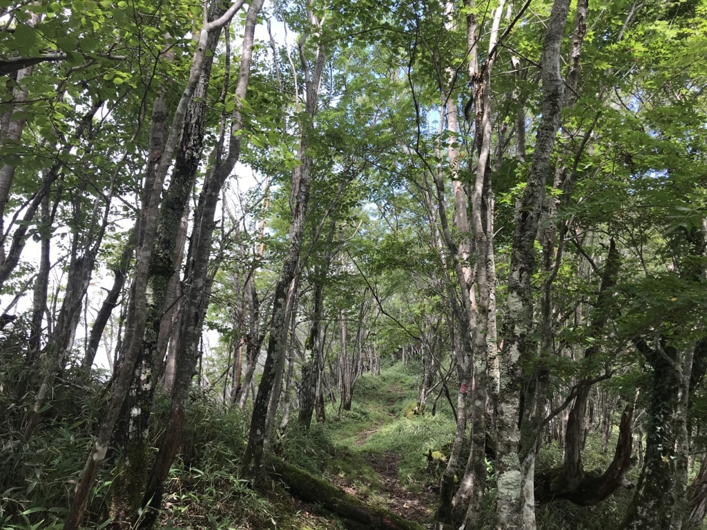 f:id:masahito0989:20180811102759j:plain