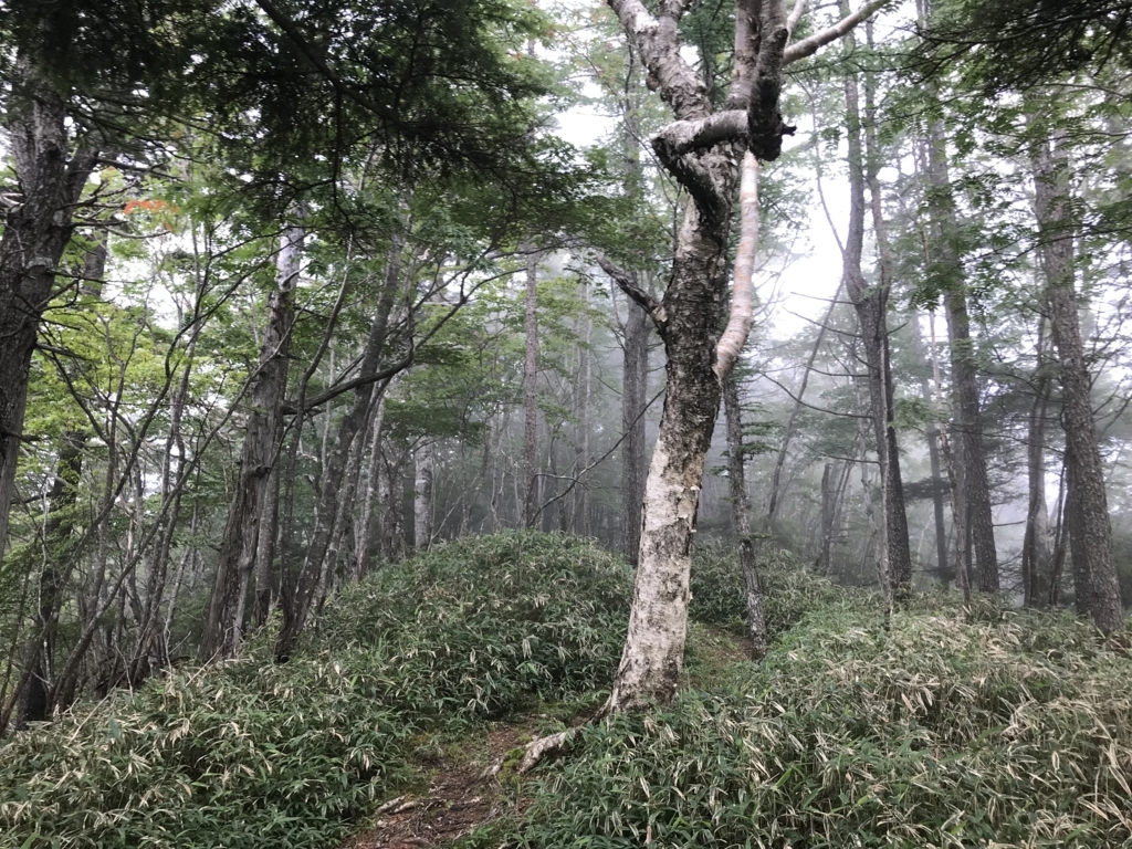 f:id:masahito0989:20180811105707j:plain