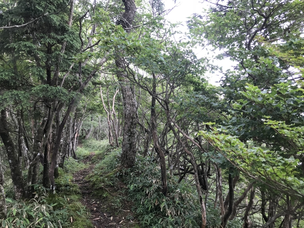 f:id:masahito0989:20180811114532j:plain