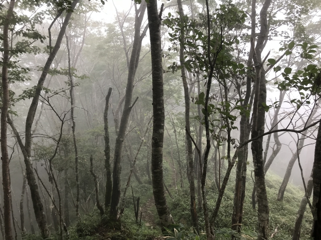 f:id:masahito0989:20180811115634j:plain