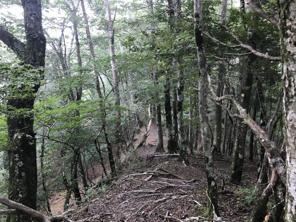 f:id:masahito0989:20180811132211j:plain