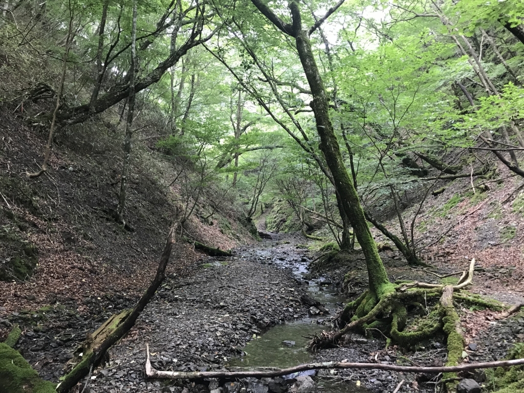 f:id:masahito0989:20180811143016j:plain