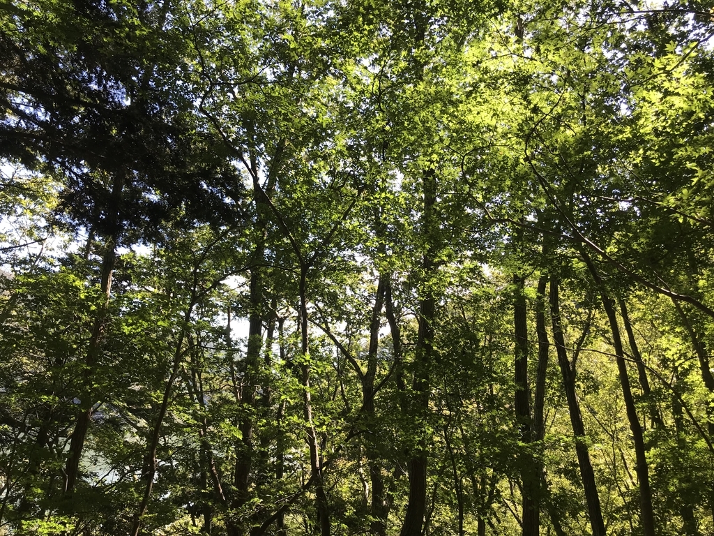 f:id:masahito0989:20181007103314j:plain