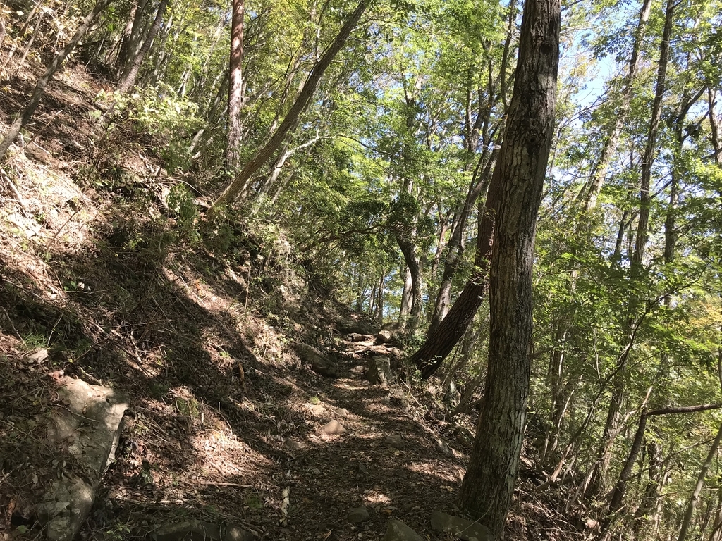 f:id:masahito0989:20181007110345j:plain