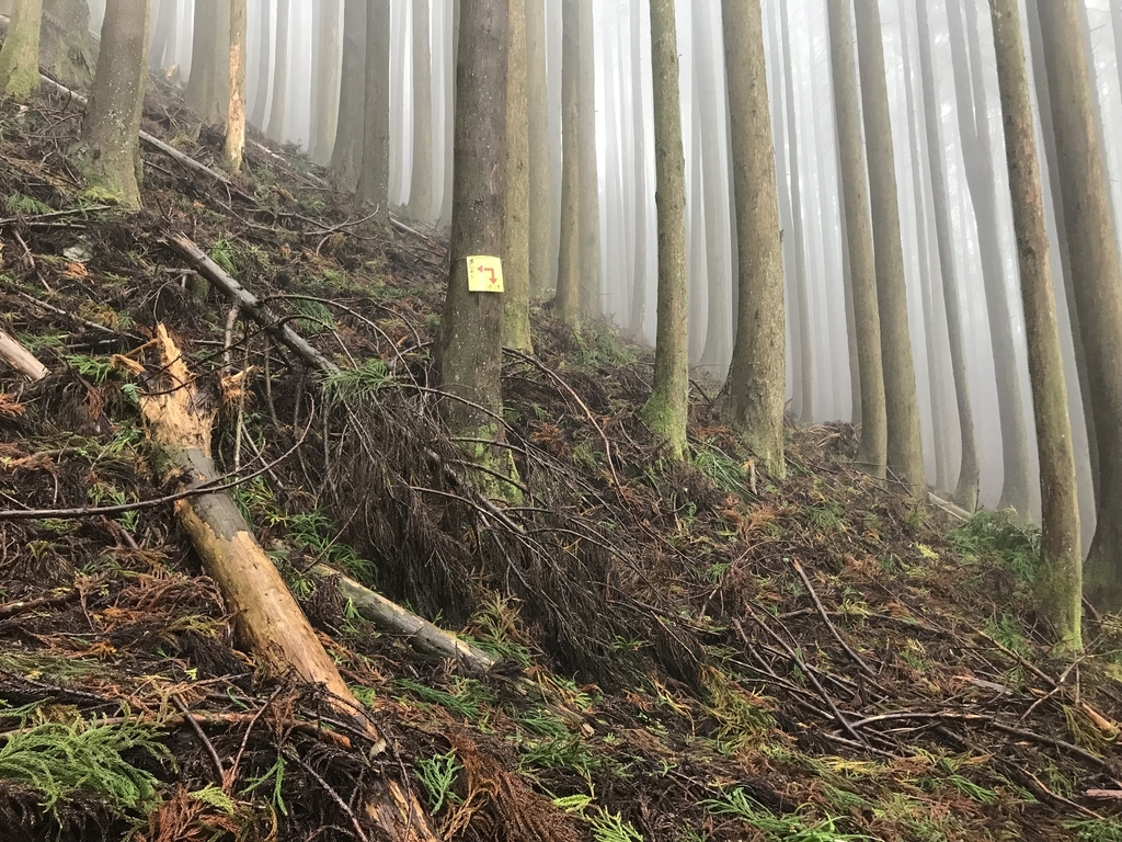 f:id:masahito0989:20181014100827j:plain