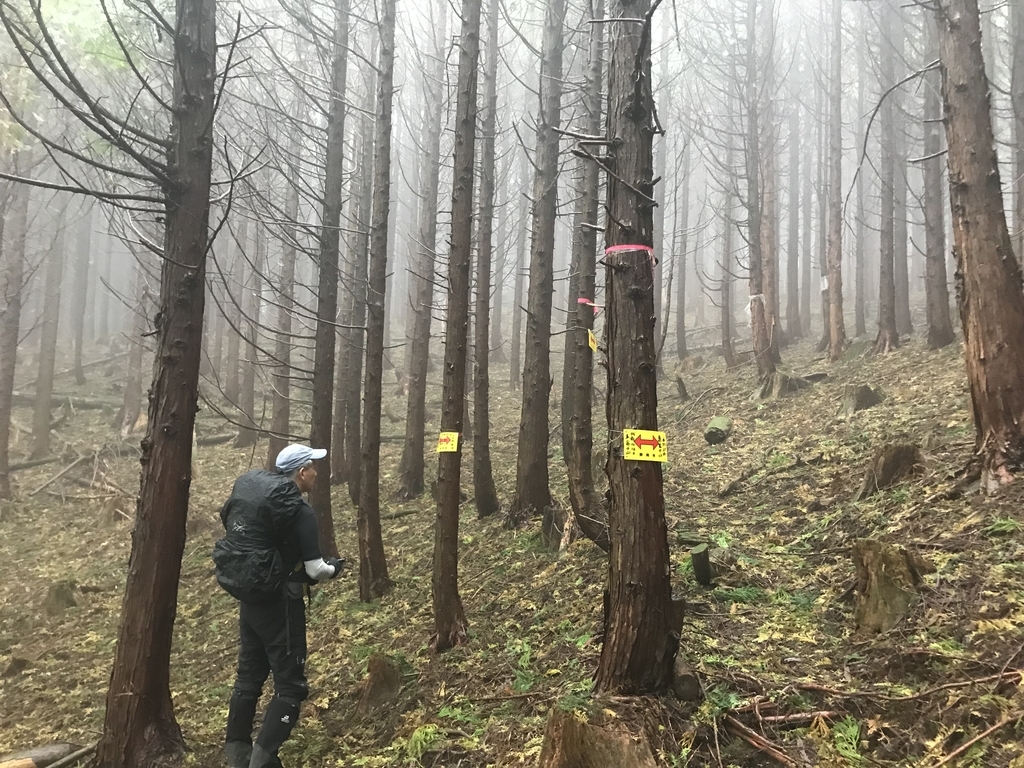 f:id:masahito0989:20181014121325j:plain