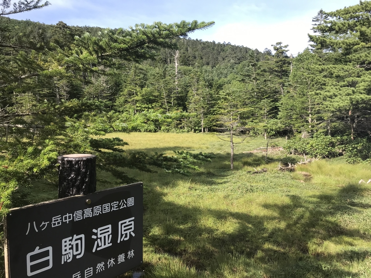 f:id:masahito0989:20190812074818j:plain