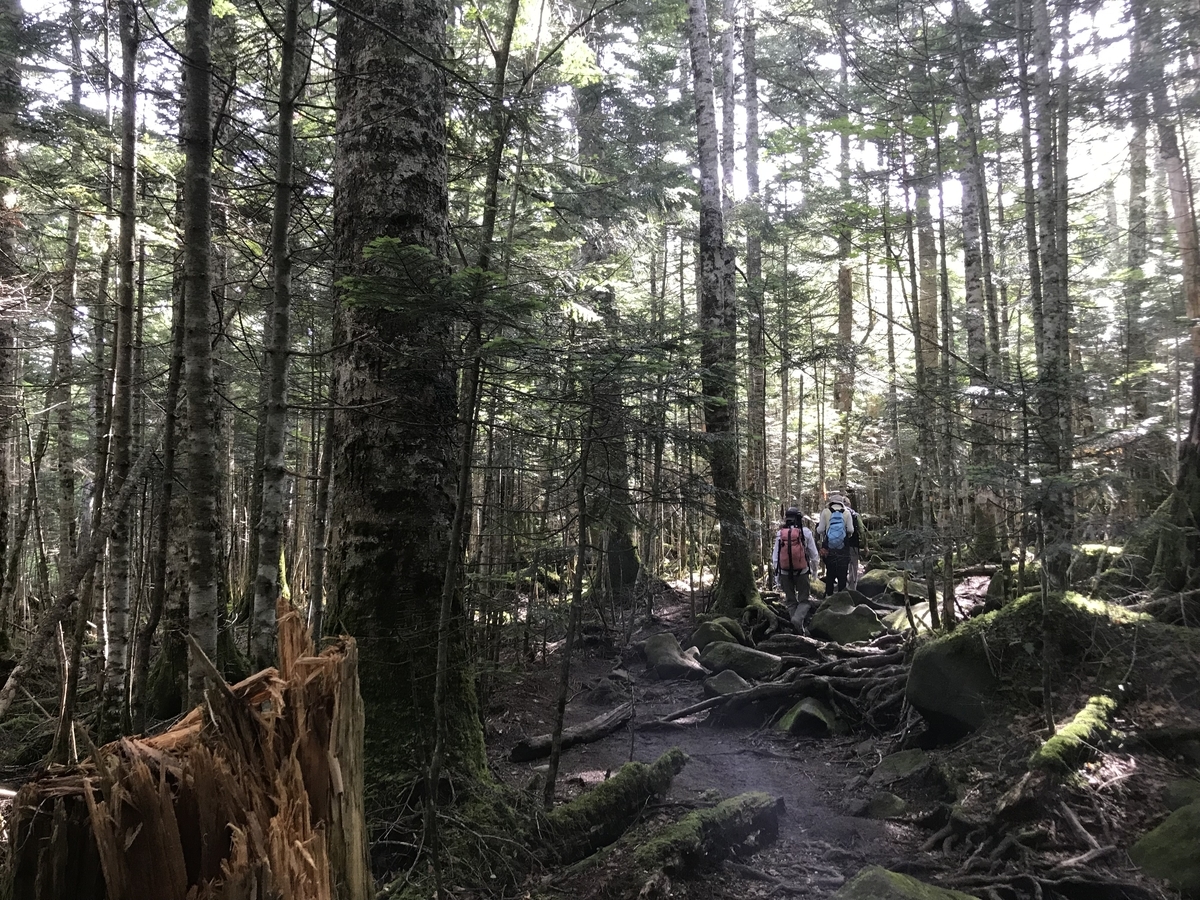 f:id:masahito0989:20190812080352j:plain