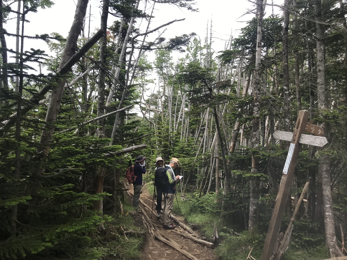 f:id:masahito0989:20190812112635j:plain