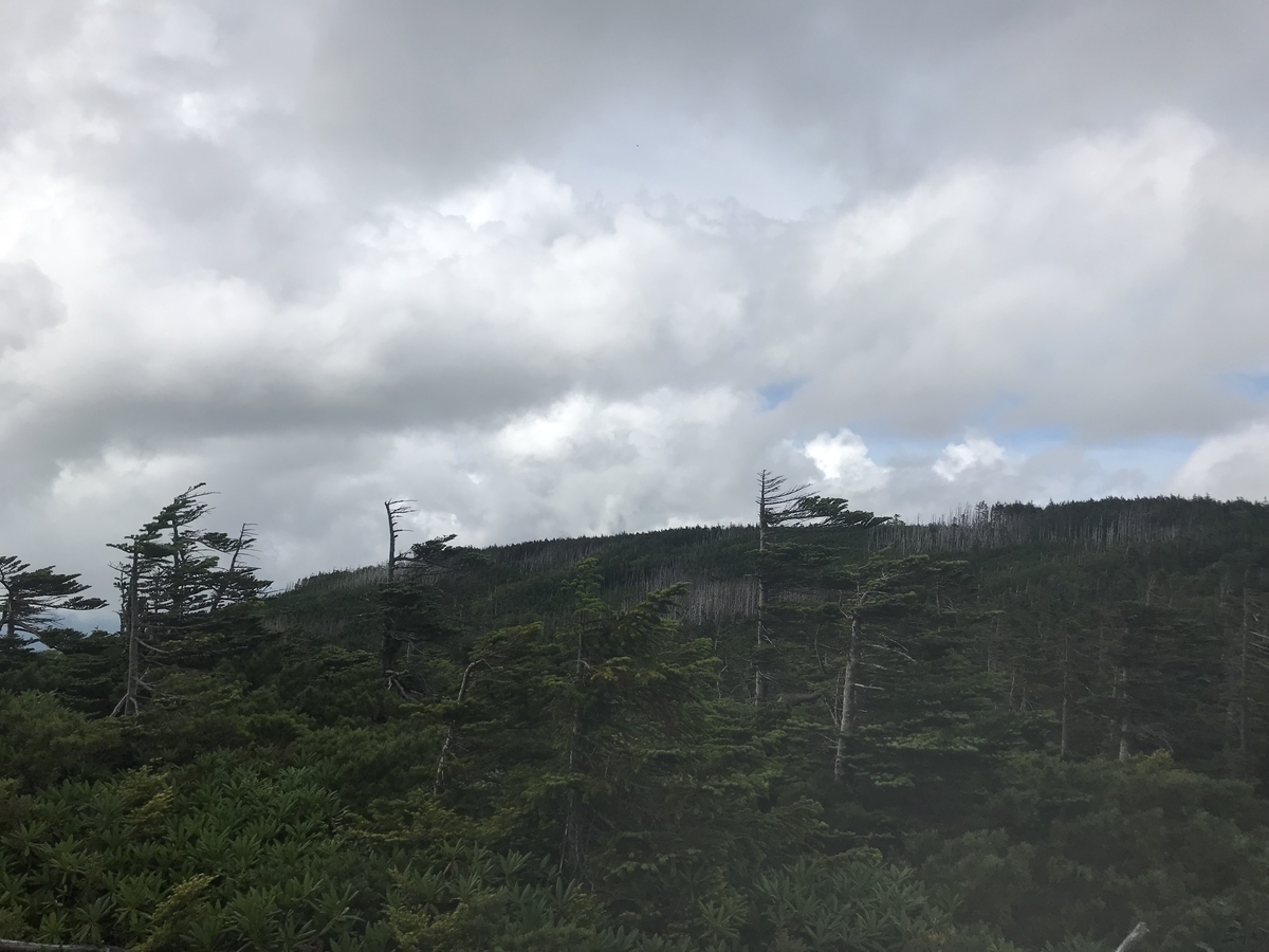 f:id:masahito0989:20190812121050j:plain