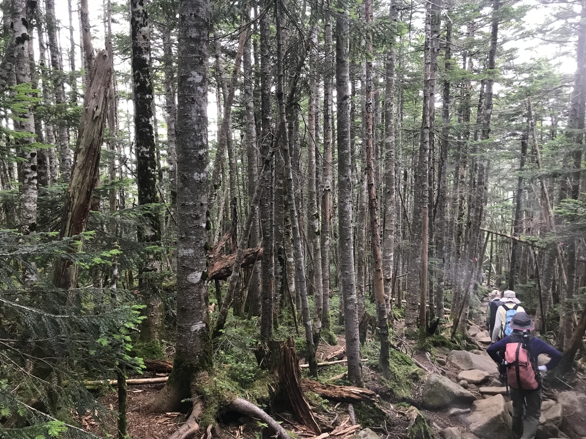 f:id:masahito0989:20190812124325j:plain