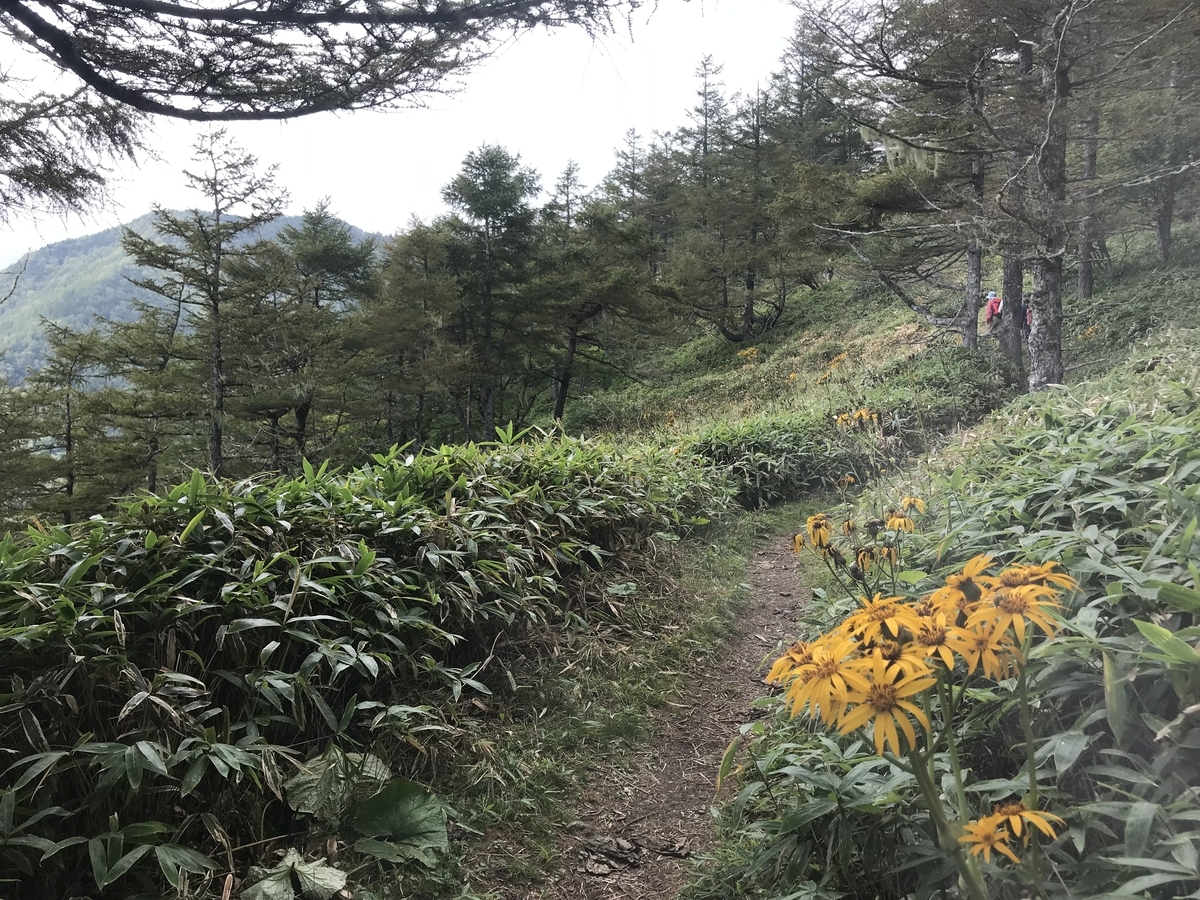 f:id:masahito0989:20190915102856j:plain