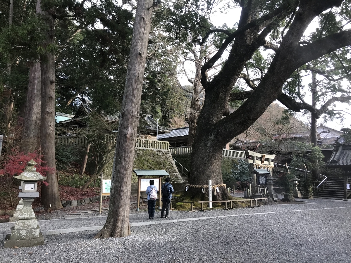 f:id:masahito0989:20191229084342j:plain f:id:masahito0989:20191229084342j:plain