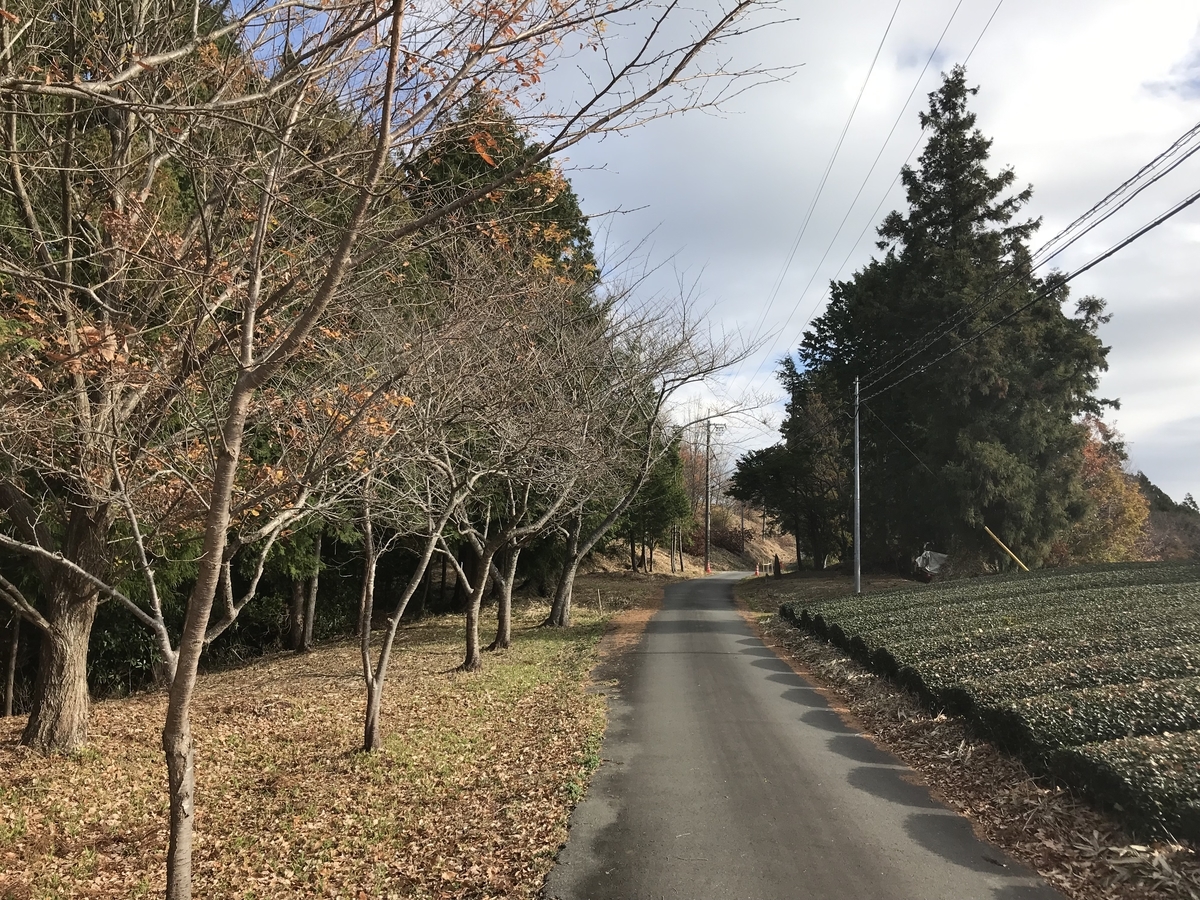 f:id:masahito0989:20191229095909j:plain f:id:masahito0989:20191229095909j:plain
