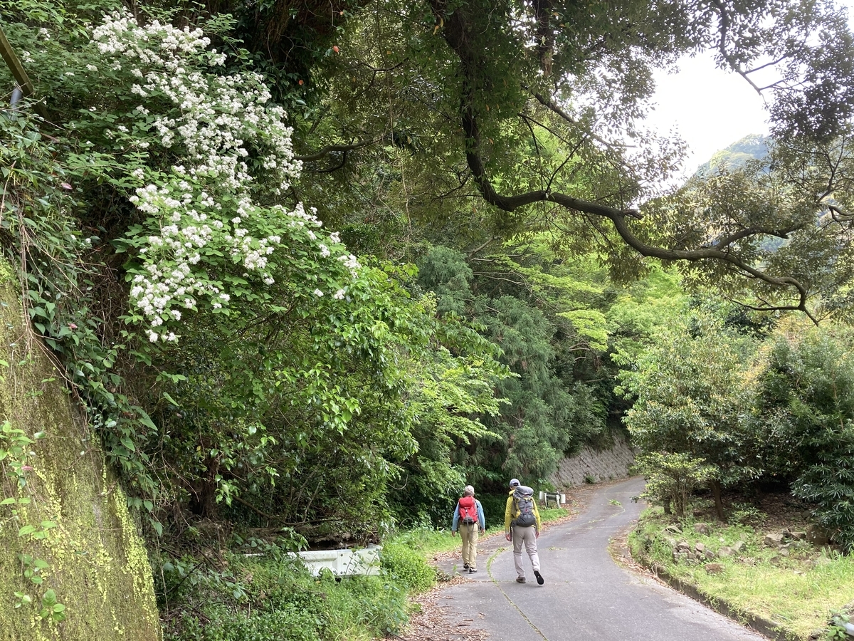 f:id:masahito0989:20210425092515j:plain