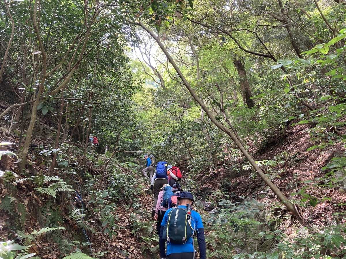 f:id:masahito0989:20210425095022j:plain