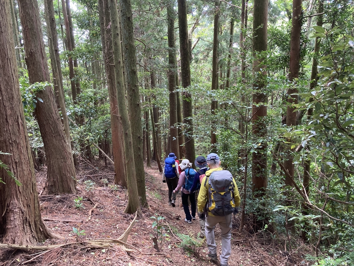 f:id:masahito0989:20210425114100j:plain