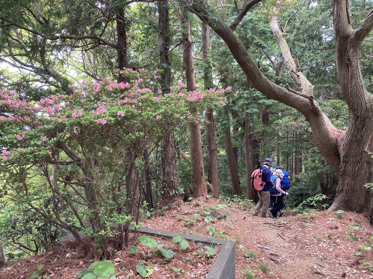 f:id:masahito0989:20210425123606j:plain