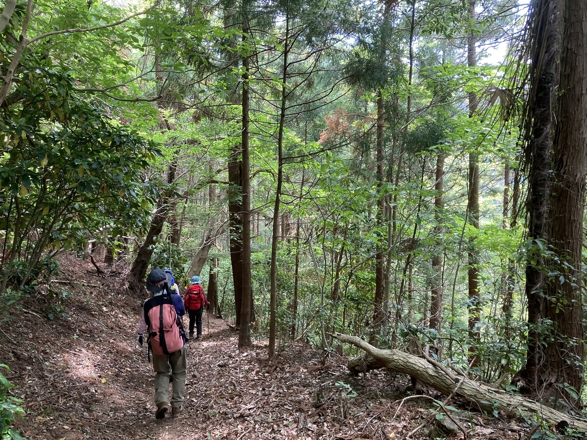 f:id:masahito0989:20210425133515j:plain