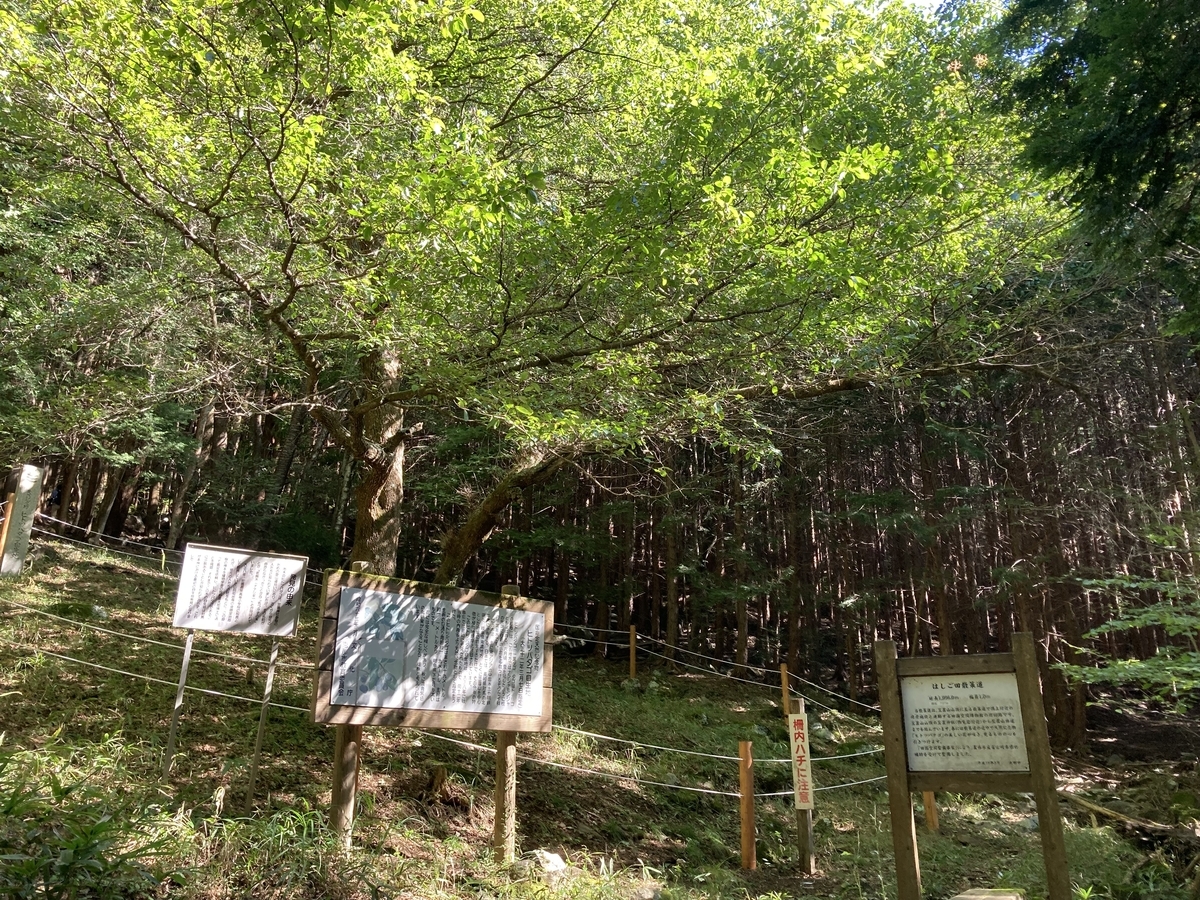 f:id:masahito0989:20211003094229j:plain