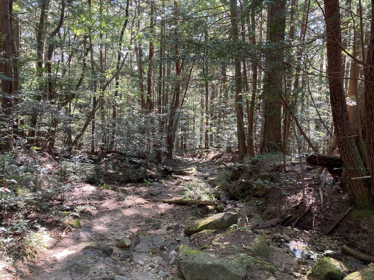 f:id:masahito0989:20211003133206j:plain