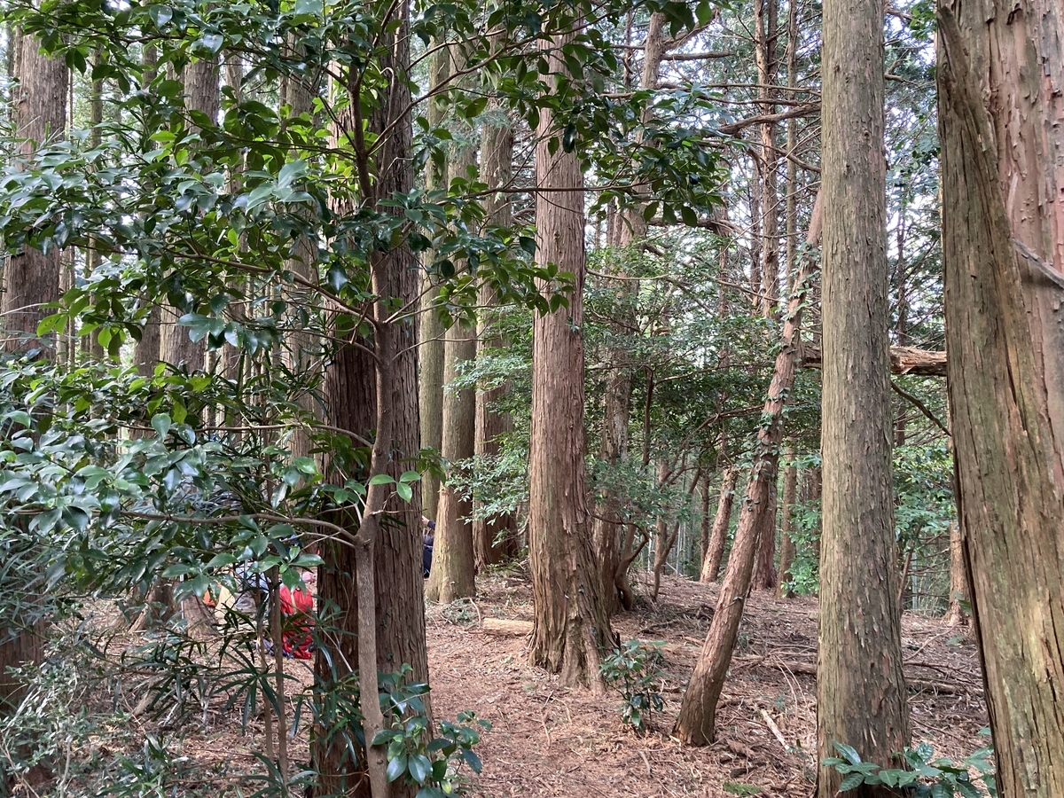 f:id:masahito0989:20220313090027j:plain