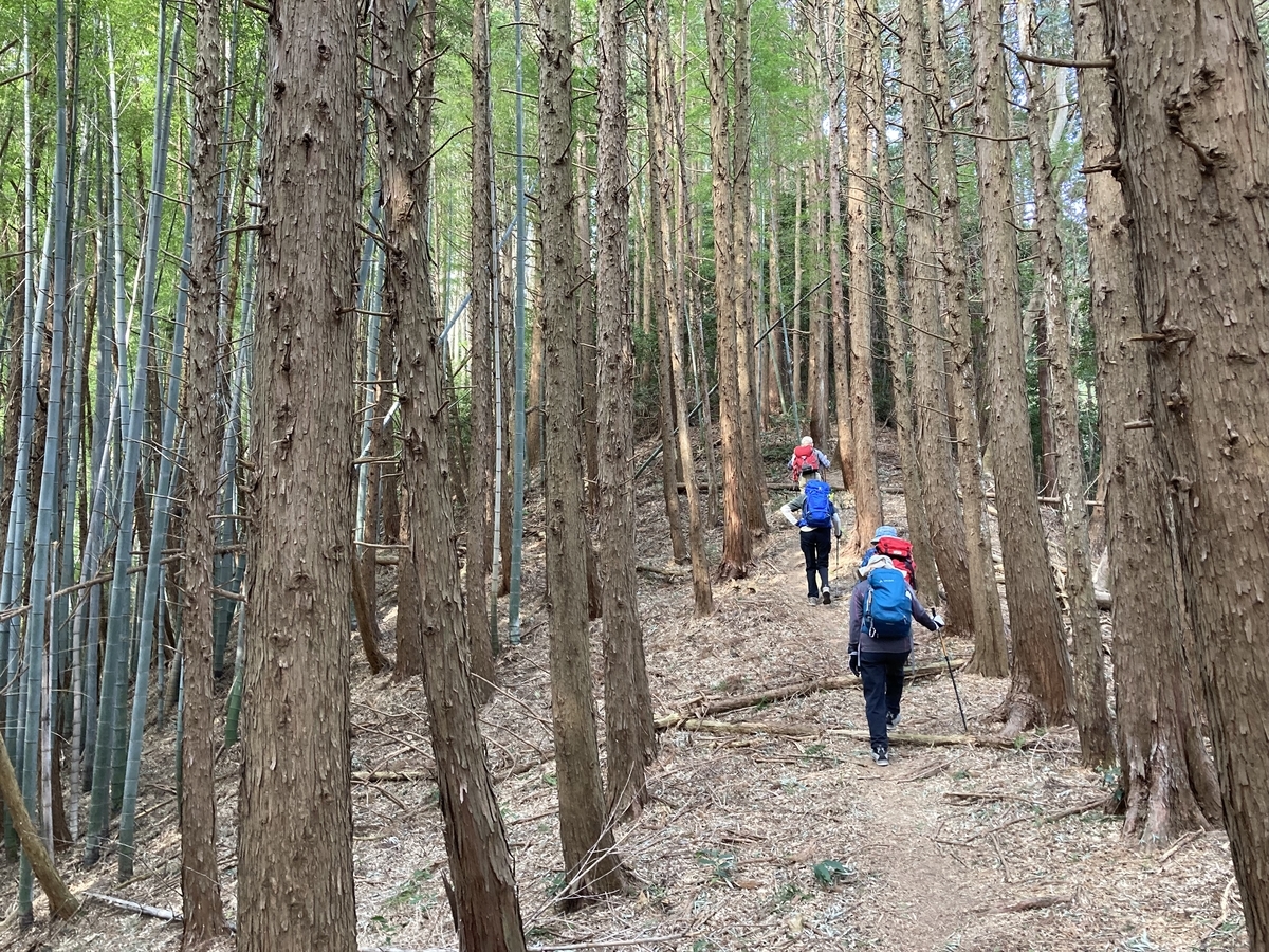 f:id:masahito0989:20220313092650j:plain