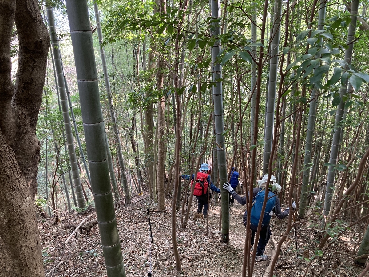 f:id:masahito0989:20220313093542j:plain