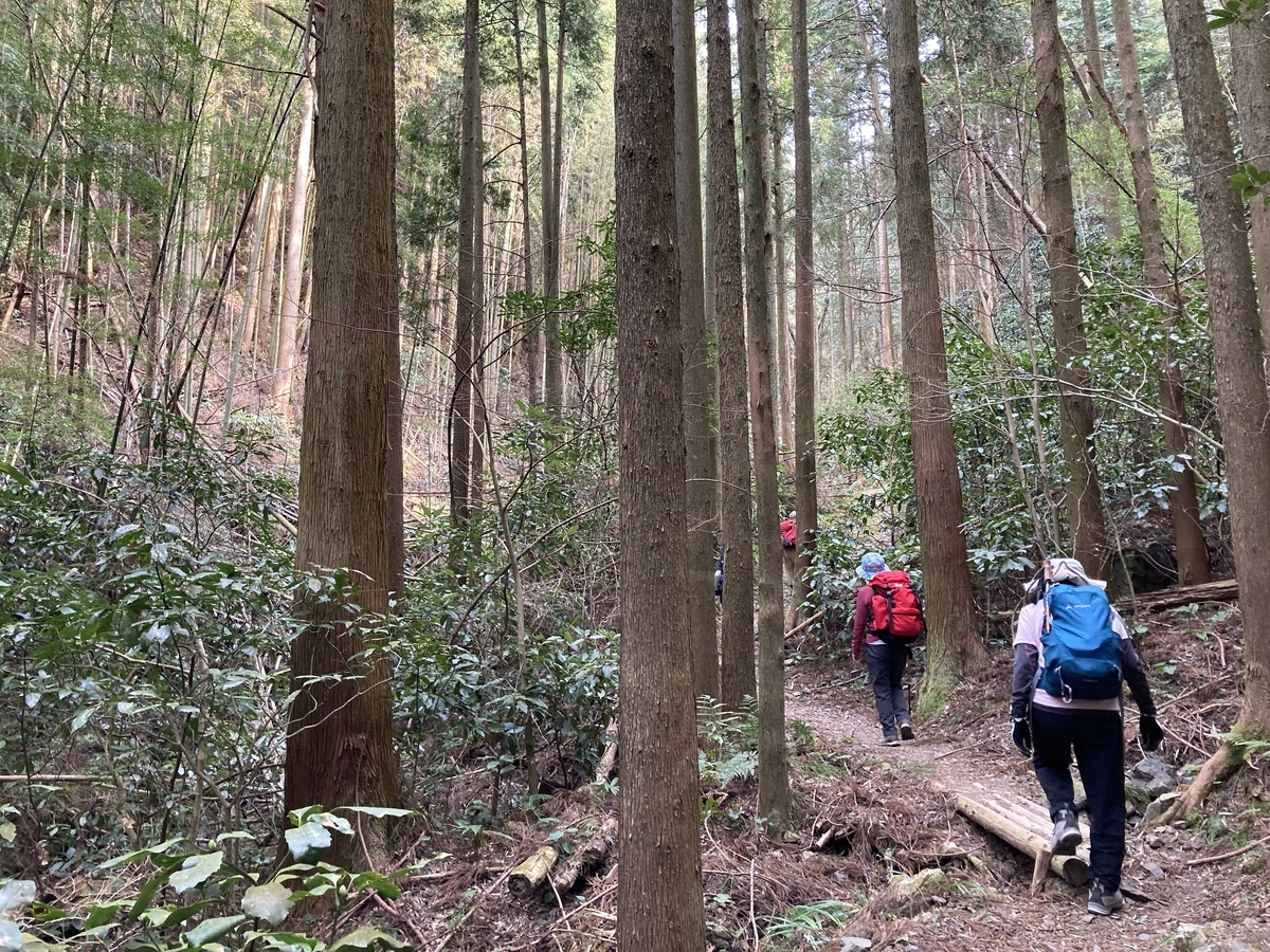 f:id:masahito0989:20220313140632j:plain