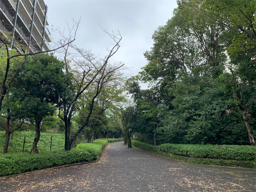 f:id:masaji0101:20190916155605j:image f:id:masaji0101:20190916155605j:image