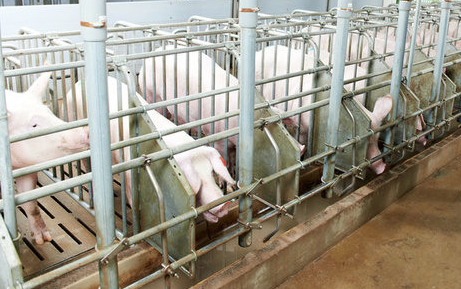 f:id:masakado1:20180307013808p:plain