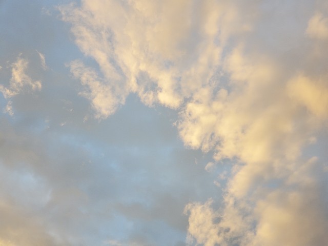 f:id:masakamama:20210519000002j:image
