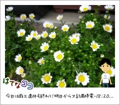 f:id:masakatu19219:20110321185326j:plain f:id:masakatu19219:20110321185326j:plain