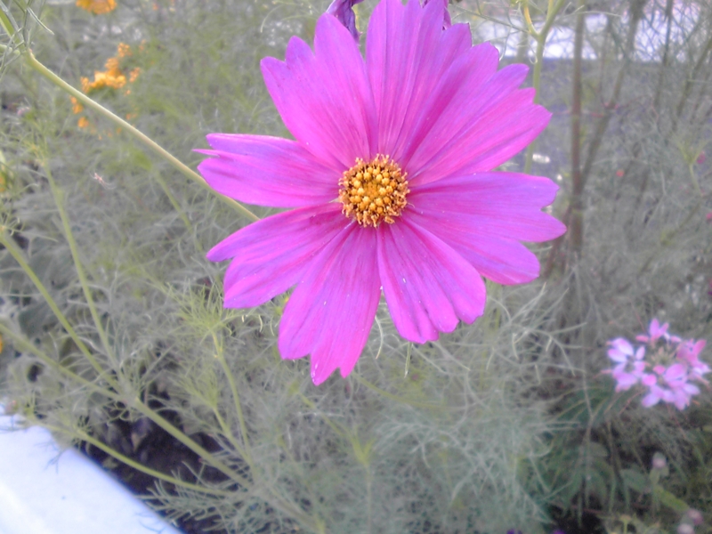 f:id:masakatu19219:20150711053210j:image f:id:masakatu19219:20150711053210j:image