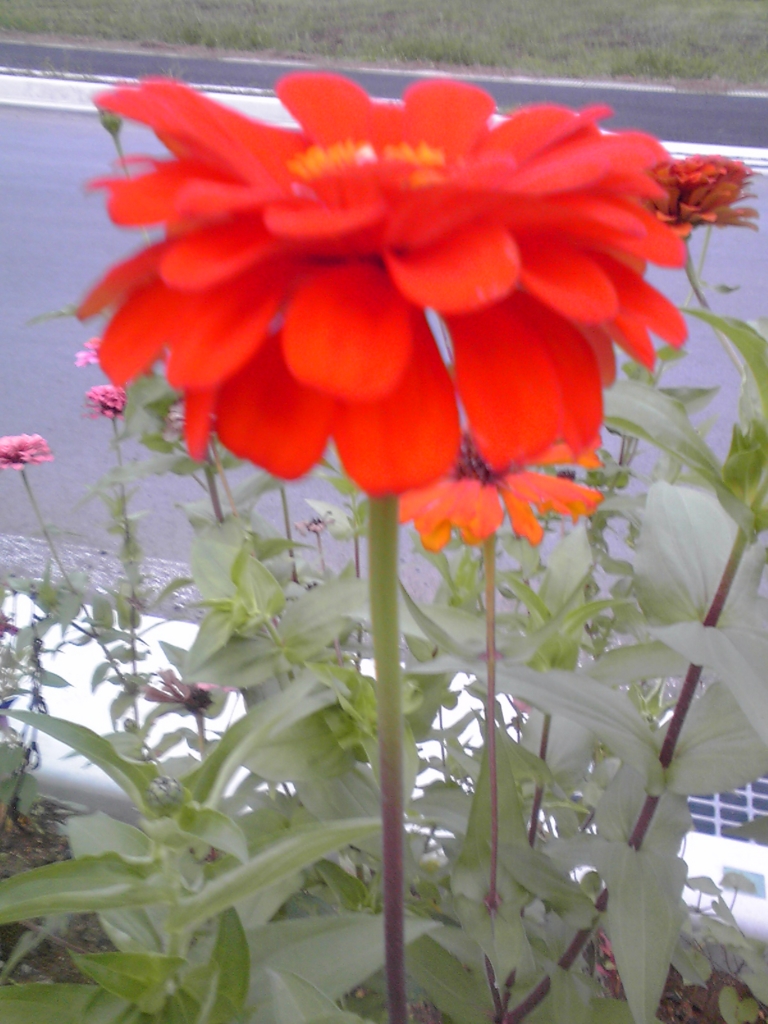 f:id:masakatu19219:20150906054635j:plain f:id:masakatu19219:20150906054635j:plain