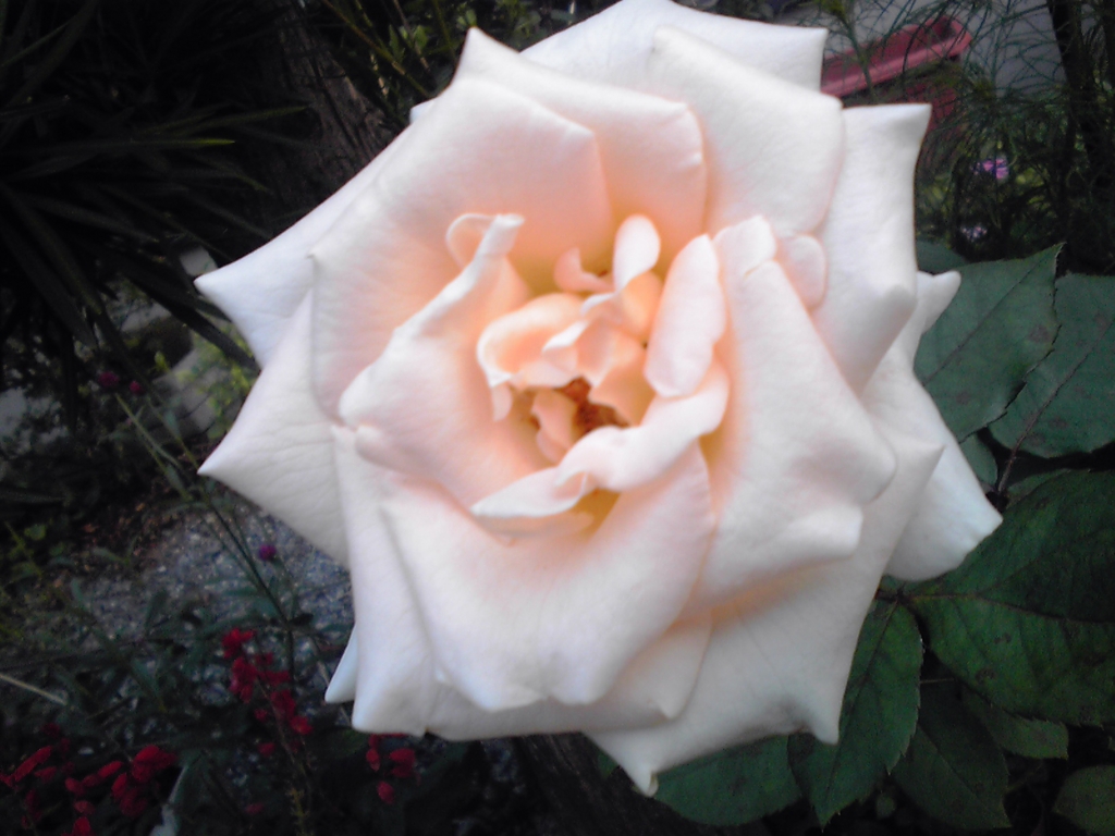 f:id:masakatu19219:20150921055646j:plain f:id:masakatu19219:20150921055646j:plain