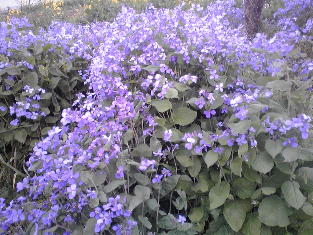 f:id:masakatu19219:20160404162907j:plain f:id:masakatu19219:20160404162907j:plain