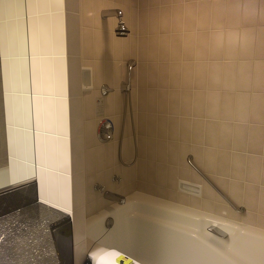 f:id:masaki001:20171022105058j:plain