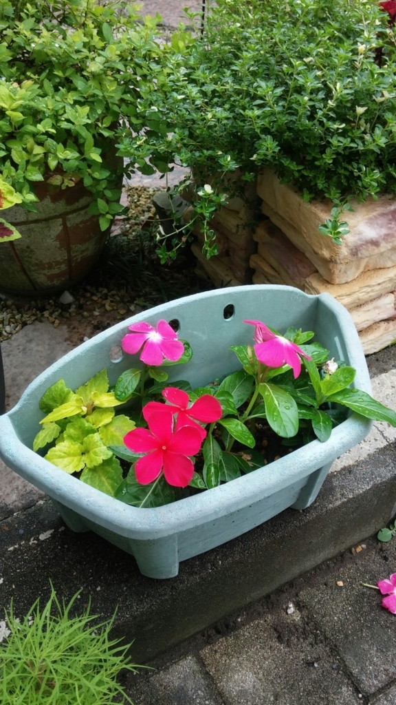 f:id:masaki2673:20170724213202j:plain