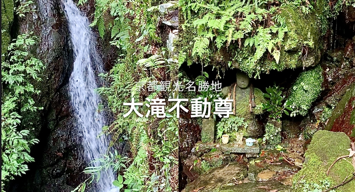 f:id:masaki6379:20200914214624j:plain f:id:masaki6379:20200914214624j:plain