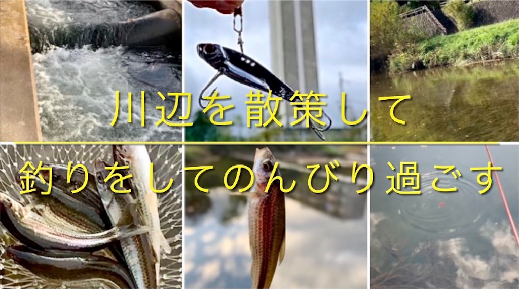 f:id:masaki6379:20201130225440j:image
