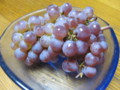 20101016204028