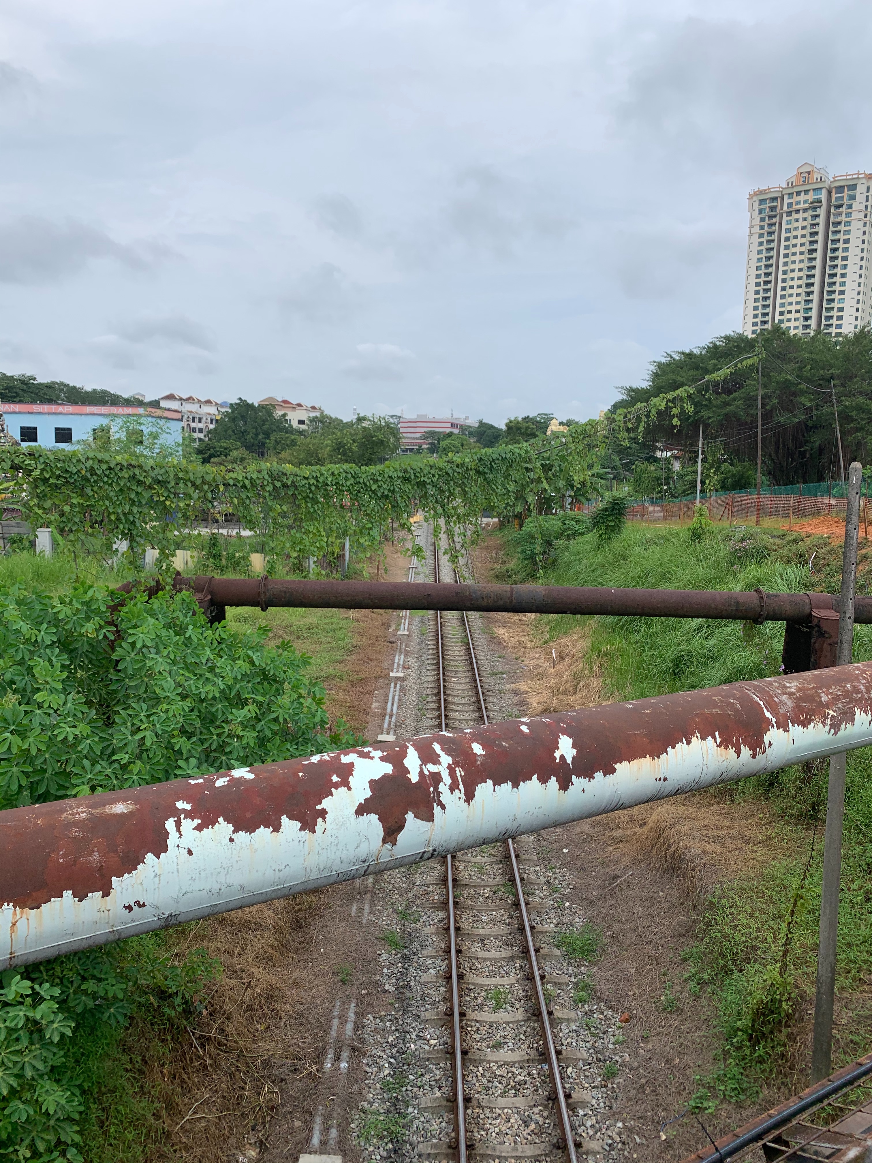 f:id:masaki9688:20191118024139j:image