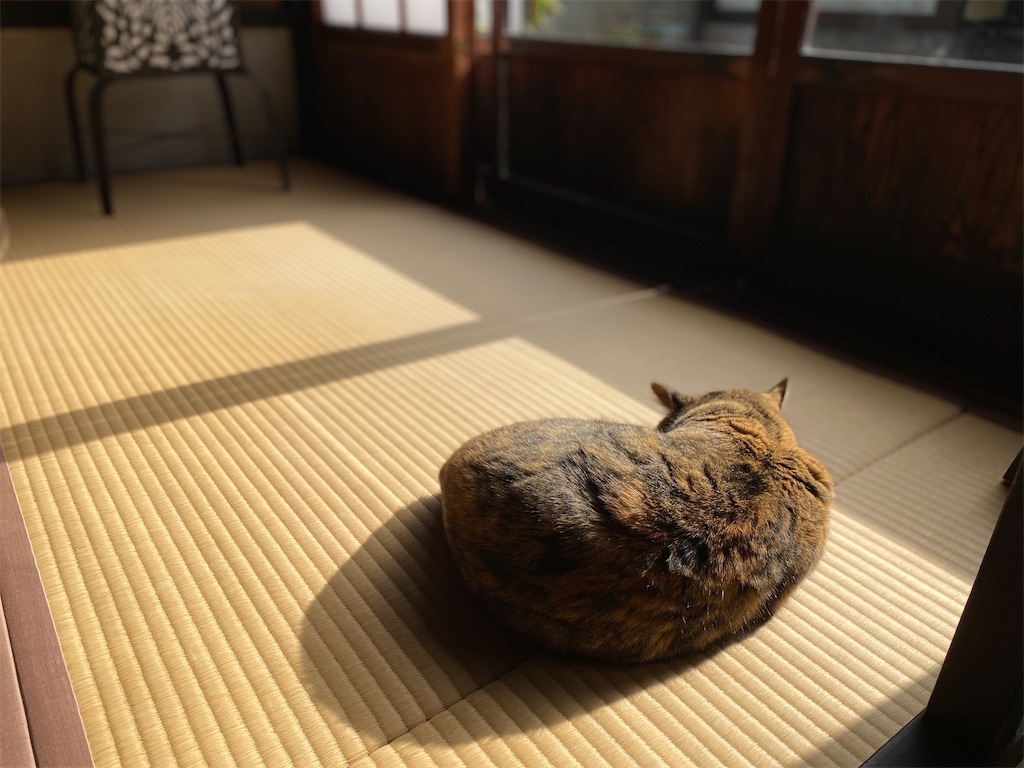 f:id:masakik512:20230203220125j:image