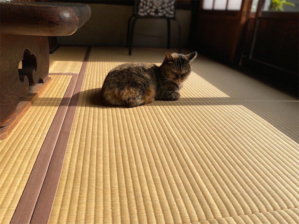 f:id:masakik512:20230203220314j:image